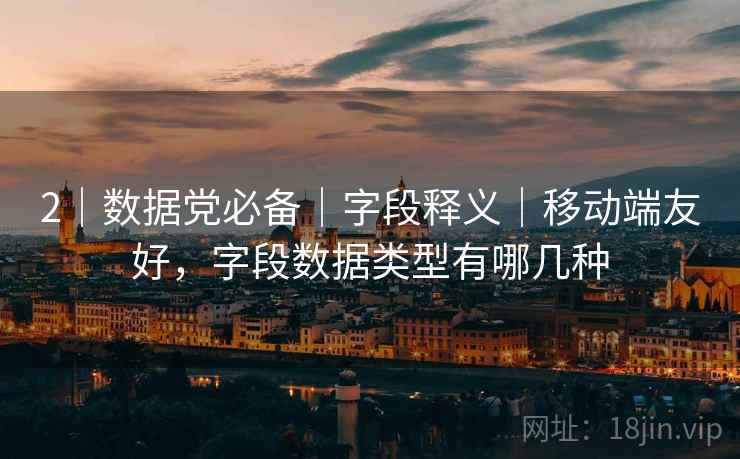 2｜数据党必备｜字段释义｜移动端友好，字段数据类型有哪几种